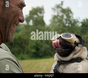 L'uomo, maschio adulto, si diverte con pug cucciolo di cane che indossa gli occhiali di protezione, al di fuori in posizione di parcheggio Foto Stock