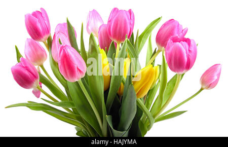 Bouquet di tulipani isolato su bianco Foto Stock