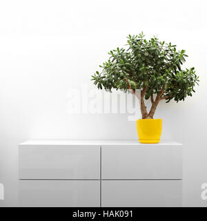 Crassula impianto sul comò bianco in un minimalismo interno Foto Stock