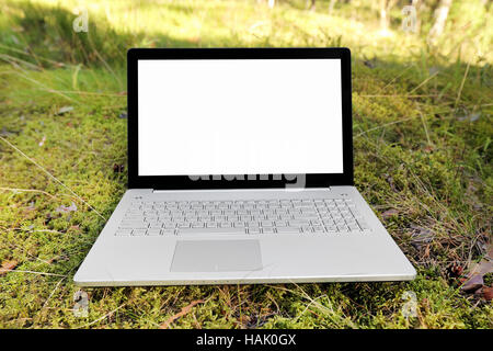 Computer portatile con schermo vuoto su moss nella foresta Foto Stock