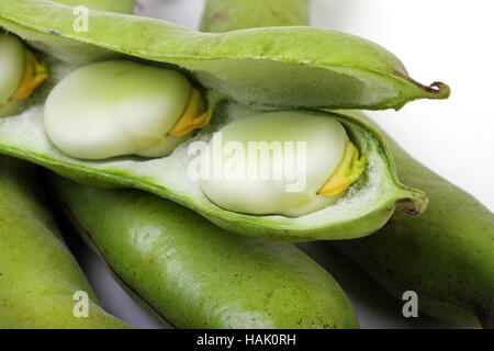 Close up di fave Foto Stock