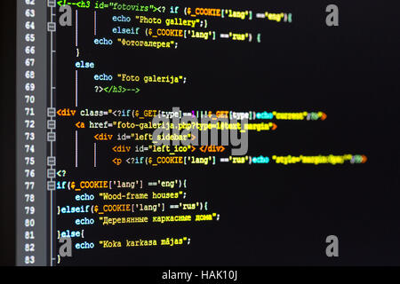Sviluppo di un sito web - codice di programmazione sullo schermo del computer Foto Stock
