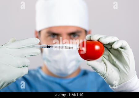 Concetto di OGM - scienziato effettuare l'iniezione in pomodoro con siringa Foto Stock