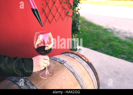 Enologo diventando campione di vino rosso dalla canna Foto Stock