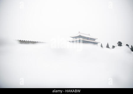 Snow scape intorno alla città proibita,Beijing, Cina Foto Stock