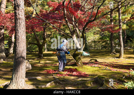 Rastrellare foglie a Kinkaku-ji (Padiglione Dorato), Kyoto, Giappone Foto Stock