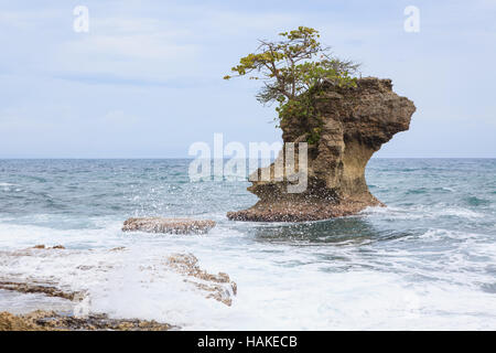 Formazione di roccia a Manzanillo Costa Rica Foto Stock