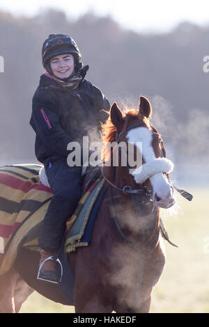 I cavalli da corsa fuori all alba Newmarket galoppa in Suffolk giovedì mattina (Jan 5th) dopo la notte più freddi dell'inverno. Foto Stock