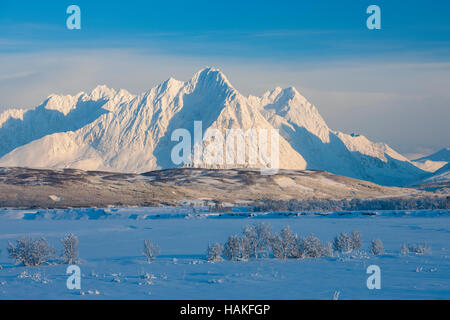 Paesaggio Innevato con Alpi Lyngen, Breivikeidet, Troms, Norvegia Foto Stock