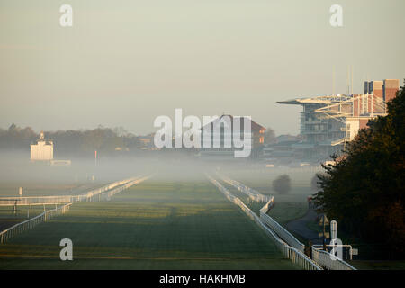 York Racecourse nebbia nebbia cavalli non chiuso meteo stand corso via field Stadium di stadi di massa passo venue luogo sportivo home la struttura architectu Foto Stock