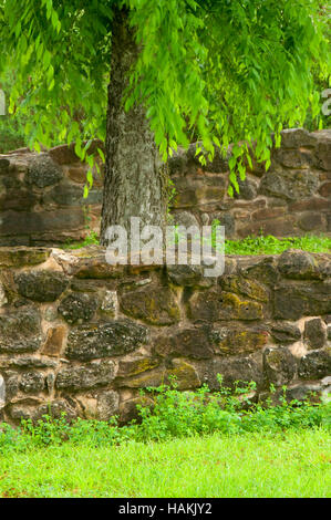 Rovine di parete a Mission Espada, San Antonio Missions National Historical Park, Texas Foto Stock