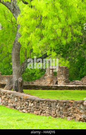 Rovine di parete a Mission Espada, San Antonio Missions National Historical Park, Texas Foto Stock