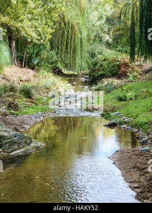 Un piccolo fiume che scorre tra la natura Foto Stock