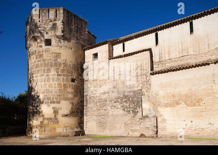 Alcazar de los Reyes Cristianos, Cordoba, Andalusia, Spagna, Europa Foto Stock