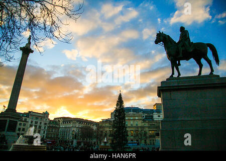 Londra, Regno Unito. 3 dicembre, 2016. Regno Unito Meteo. Nelson la colonna e Trafalgar Square albero di Natale contro un dorato tramonto in inverno Credito: Dinendra Haria/Alamy Live News Foto Stock