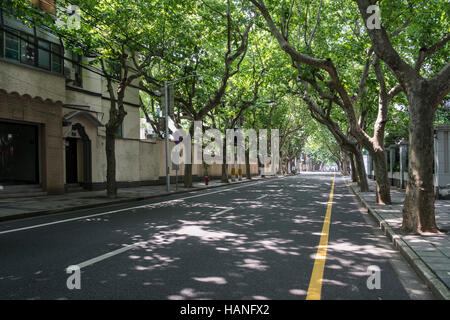 Tranquilla strada alberata a Shanghai in Cina Foto Stock