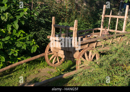 Il vecchio e il carro utilizzato in piedi vicino a cespugli verdi Foto Stock