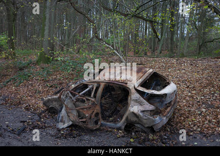 Un'auto bruciata trovato abbandonato da ignoti vandali il 27 novembre 2016, nei boschi vicino a Hollingbourne, Kent, Inghilterra. Foto Stock