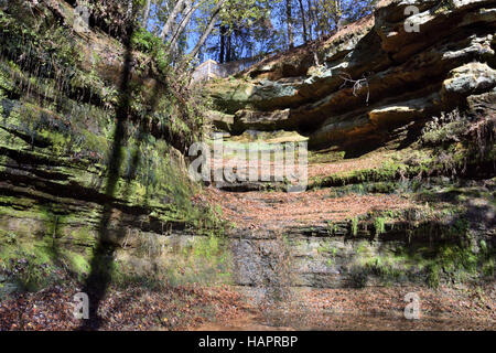 Devil's Conca Nature Preserve, Menomonie, Wisconsin Foto Stock