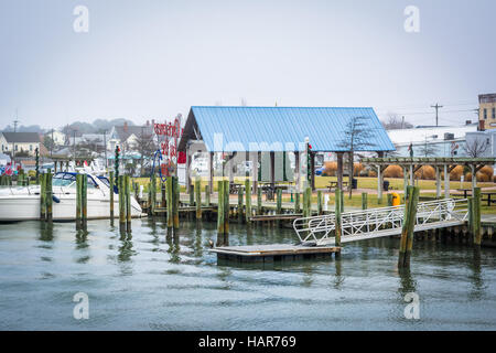 Vista della Baia di Chincoteague Waterfront, in Chincoteague Island, Virginia. Foto Stock