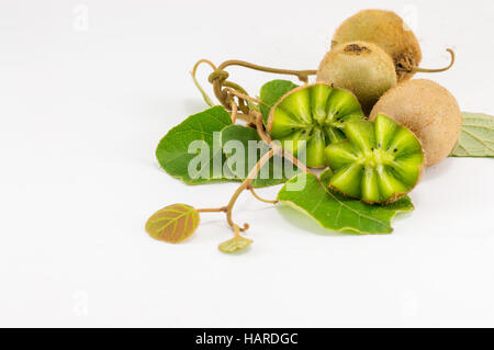 Appena raccolto e fette di kiwi con ramo e foglie Foto Stock