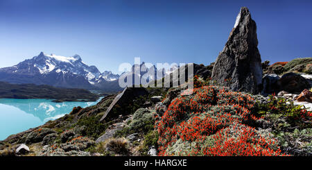 Viste di Torres del Paine, Patagonia, Cile, America del Sud. Foto Stock