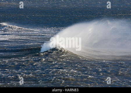 Cresta d'onda al mare Artico mostra airborne spray e spindrift a causa di forti venti Foto Stock