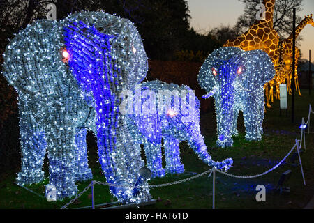 Longleat Festibal di luce Foto Stock