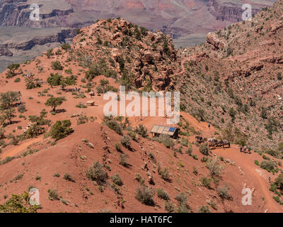 Guardando verso il basso sulla cresta di cedro, South Kaibab Trail, del Grand Canyon South Rim, Arizona. Foto Stock