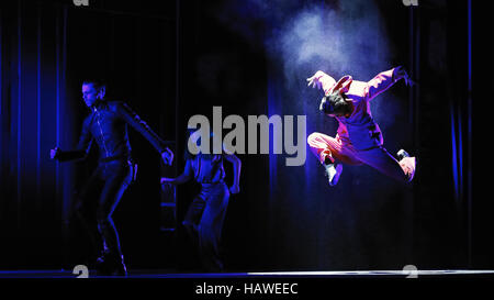 SWAN LAKE RICARICATO - Photocall Foto Stock