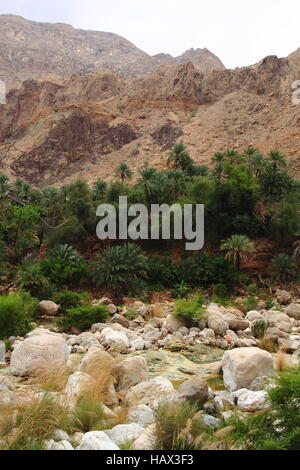Wadi Tiwi Foto Stock