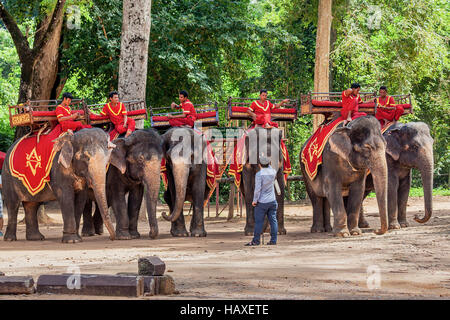 Elefanti asiatici usata per prendere i turisti in un giro intorno a Angkor Thom prendere un periodo di riposo sotto gli alberi in Siem Reap, Regno di Cambogia. Foto Stock