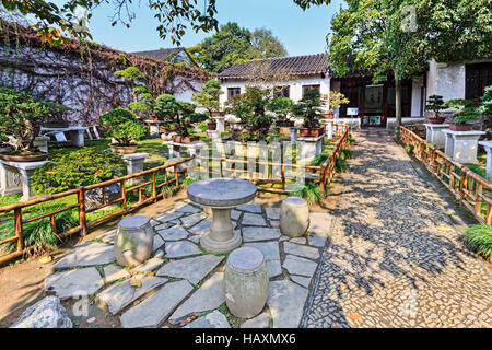 Cinese tradizionale giardino in miniatura di alberi di bonsai in vasi con piante coltivate in Suzhou Giardino Lingering. Decorazione all'aperto, scherma e cura nella parte anteriore del Foto Stock