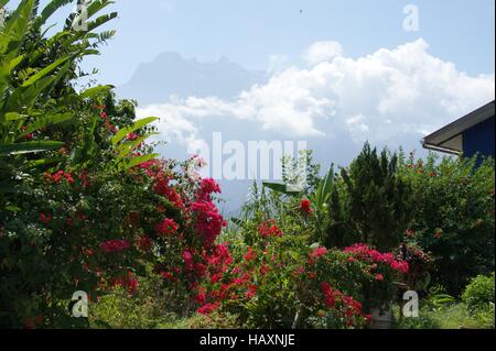 Mount Kinabalu da Pekan Nabalu. Parco Kinabalu, Ranau, Sabah Borneo, Malaysia, sud-est asiatico Foto Stock