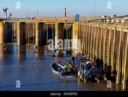 Dragaggio del porto, Watchet, Somerset, Inghilterra, Regno Unito Foto Stock