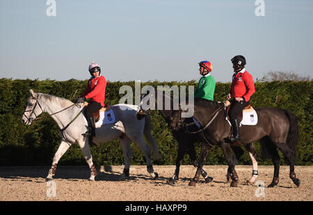 (Da sinistra a destra) Victoria Pendleton, Frankie Dettori e AP McCoy durante una lezione di showjumping con medaglia d'oro olimpica Nick Skelton al suo Ardencote Farm Stables nel Warwickshire. Stampa foto di associazione. Data di rilascio: Sabato 3 dicembre, 2016. Frankie Dettori e Victoria Pendleton gareggerà nella Markel Champions Challenge in aiuto dei feriti Fantini Fund presso l'Olympia di Londra in Dicembre. Foto di credito dovrebbe leggere: Joe Giddens/PA FILO Foto Stock