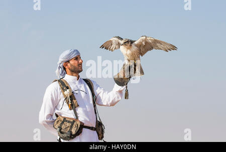 Dubai, UAE, Novembre 19th, 2016: Una falconer in abito tradizionale, la formazione di un falco pellegrino (Falco peregrinus) Foto Stock