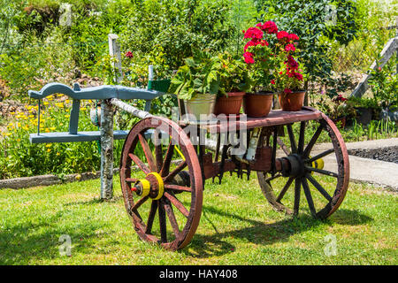 Vecchio carrello di giovenco nel giardino nel cortile decorato con vasi di fiori su di esso Foto Stock