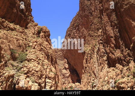 Gole del Todra Foto Stock