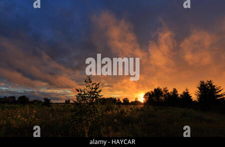 Nuvole al tramonto dopo la pioggia su campo abbandonato con l'erba,Regione Podlasie,Polonia,l'Europa Foto Stock