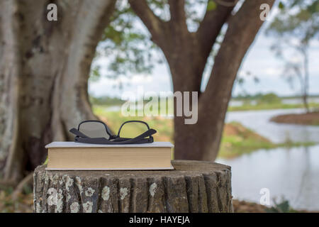 Libri con gli occhiali su una panchina nel parco. Foto Stock