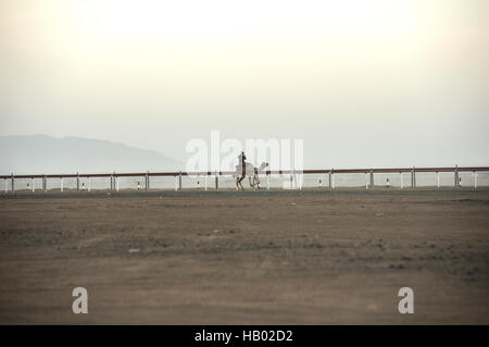 Una cavalcata solitaria sul suo cammello riscaldandolo fino per le corse di cammelli in Oman prima che il sole appare all'orizzonte in opaco, foschia mattutina Foto Stock