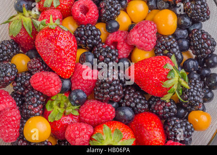 Frutti di bosco fino in prossimità Foto Stock