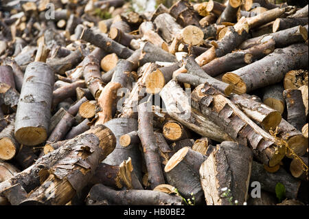 Holzstapel Foto Stock