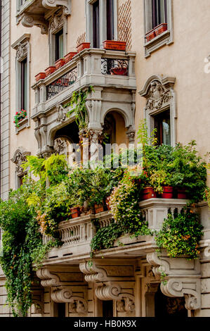 Balcone con la giungla di piante Foto Stock