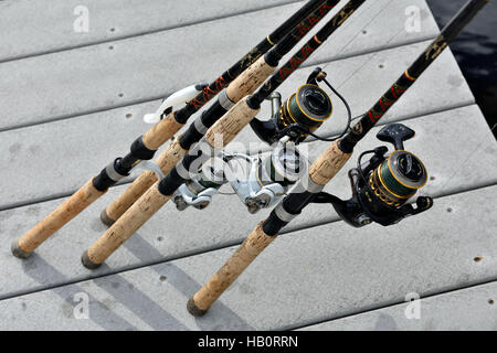 Canne da pesca e bobine Foto Stock