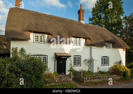 Cottage con tetto in paglia in West Meon, Hampshire, Inghilterra. Foto Stock