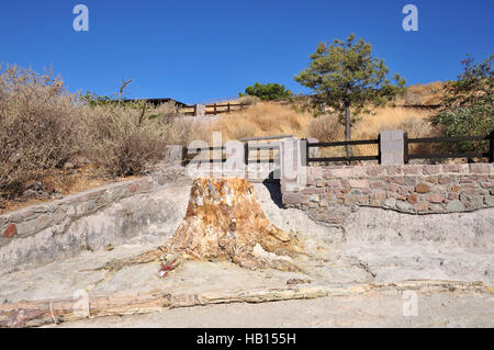 Petrified Forest preistorica in Sigri, Lesbo Island, Grecia Foto Stock