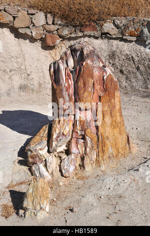 Petrified Forest preistorica in Sigri, Lesbo Island, Grecia Foto Stock