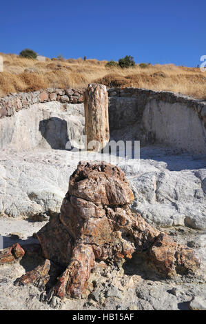 Petrified Forest preistorica in Sigri, Lesbo Island, Grecia Foto Stock